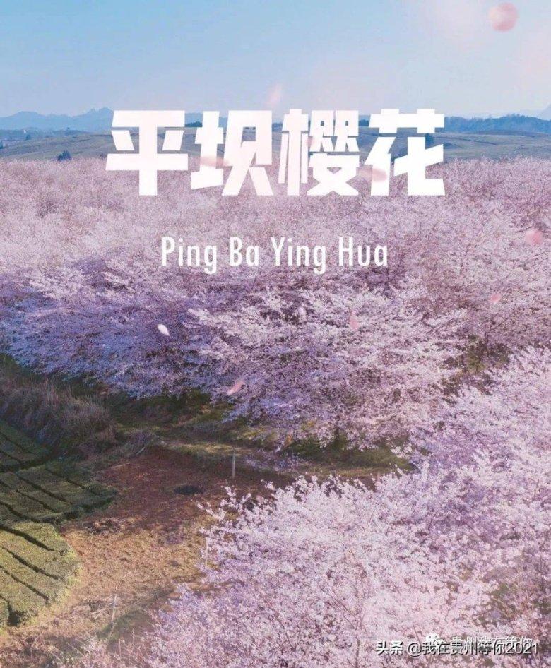 拯救船中女孩