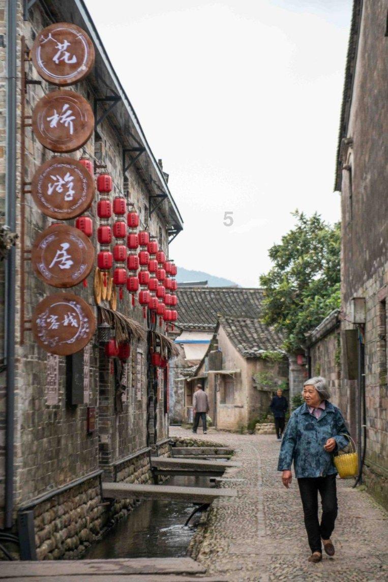 仔猪拉稀老不好怎么办?APP下载中心,尽享便利-知识星球平台